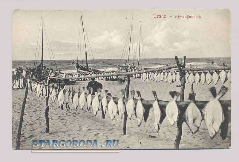 Зеленоградск на почтовых открытках. Берег Балтийского моря.